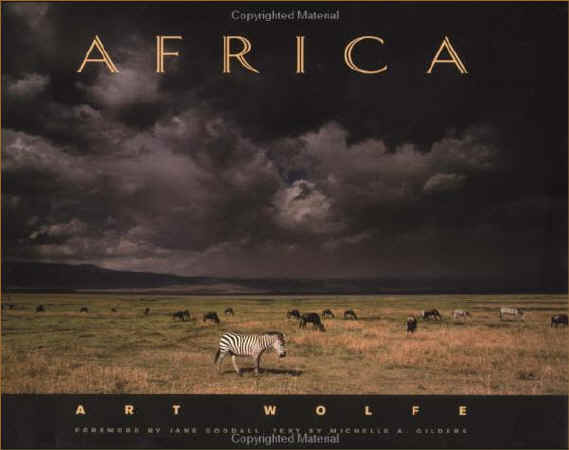 Ecosystem In Africa