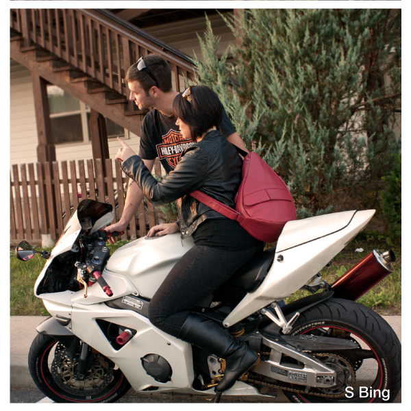 healthy back bag traveler